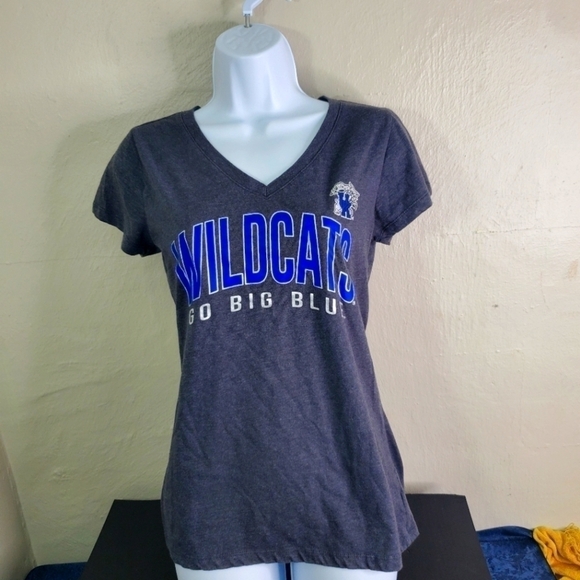 Kentucky Wildcats Slogan Dual-Blend Women's Charcoal V-Neck T-Shirt Size Medium - Picture 1 of 6